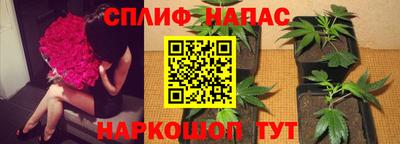 spice Ангарск