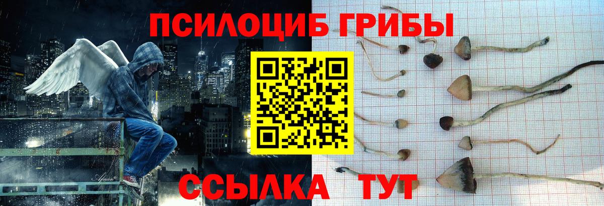 Галлюциногенные грибы Cubensis  закладка  Назрань  Вход с VPN 